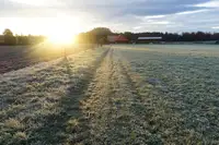 Transitions – Meditative Morning Walks over a Field