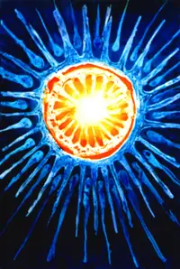 Worlds of Light 8 - Star of Light