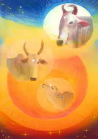 Taurus: The Three Phases of the Word