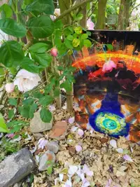 Painting in the garden of a Belgian friend, 2020