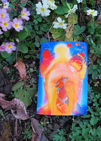 Photo of a painting in the garden, 15 March 2014