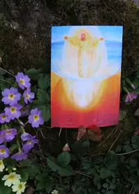 Photo of a painting in the garden, 15 March 2014
