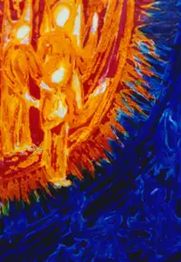 Birth of Christ 5 - Announcement to the Shepherds